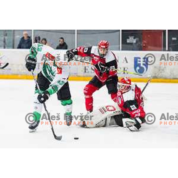 PANCE Ziga of HK SZ Olimpija and US Zan of HDD SIJ Acroni Jesenice In action during the fourth game of the Final of the Slovenian Ice-hockey League between SZ Olimpija and SIJ Acroni Jesenice in Tivoli Hall, Ljubljana, Slovenia on March 15, 2024