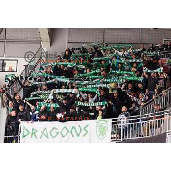 Green Dragons fans of HK Olimpija In action during the fourth game of the Final of the Slovenian Ice-hockey League between SZ Olimpija and SIJ Acroni Jesenice in Tivoli Hall, Ljubljana, Slovenia on March 15, 2024
