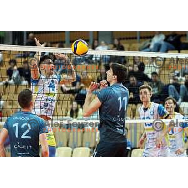Uros Nikolic in action in the Final of Slovenian Cup volleyball match between Calcit Volley and Maribor I Vent, Final in Koper, Slovenia on March 24, 2024