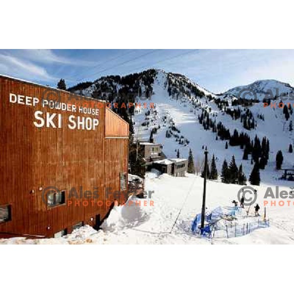 Alta ski resort in Utah, USA, January 2009. Utah has best snow on Earth and fameous powder as trademark of tourism industry 