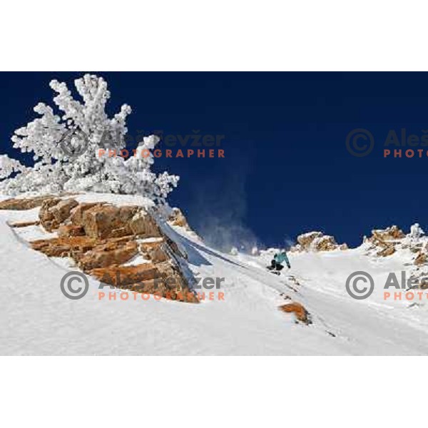 Snowbasin ski resort in Utah, USA, January 2009. Utah has best snow on Earth and fameous powder as trademark of tourism industry 