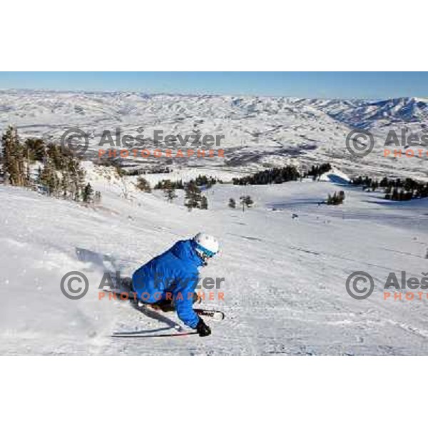 Snowbasin ski resort in Utah, USA, January 2009. Utah has best snow on Earth and fameous powder as trademark of tourism industry 