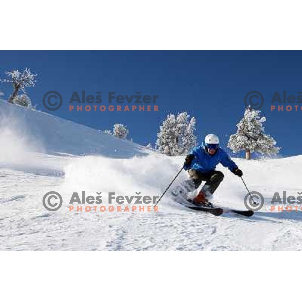 Snowbasin ski resort in Utah, USA, January 2009. Utah has best snow on Earth and fameous powder as trademark of tourism industry and was site of 2002 Salt Lake City Winter Olympic Games 