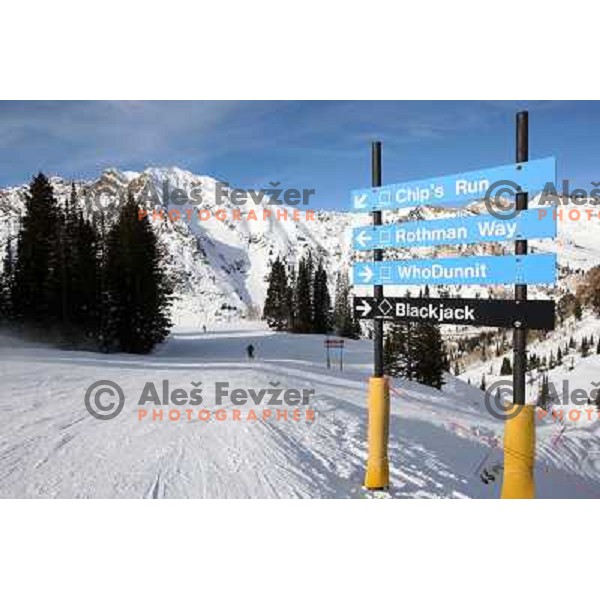 Snowbird ski resort in Utah, USA, January 2009. Utah has best snow on Earth and fameous powder as trademark of tourism industry 