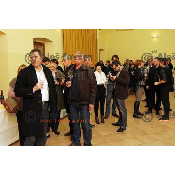 Wine tasting of archive wines (vintage 2000 and older) in Ozeljan Castle, Slovenia on March 16,2011 